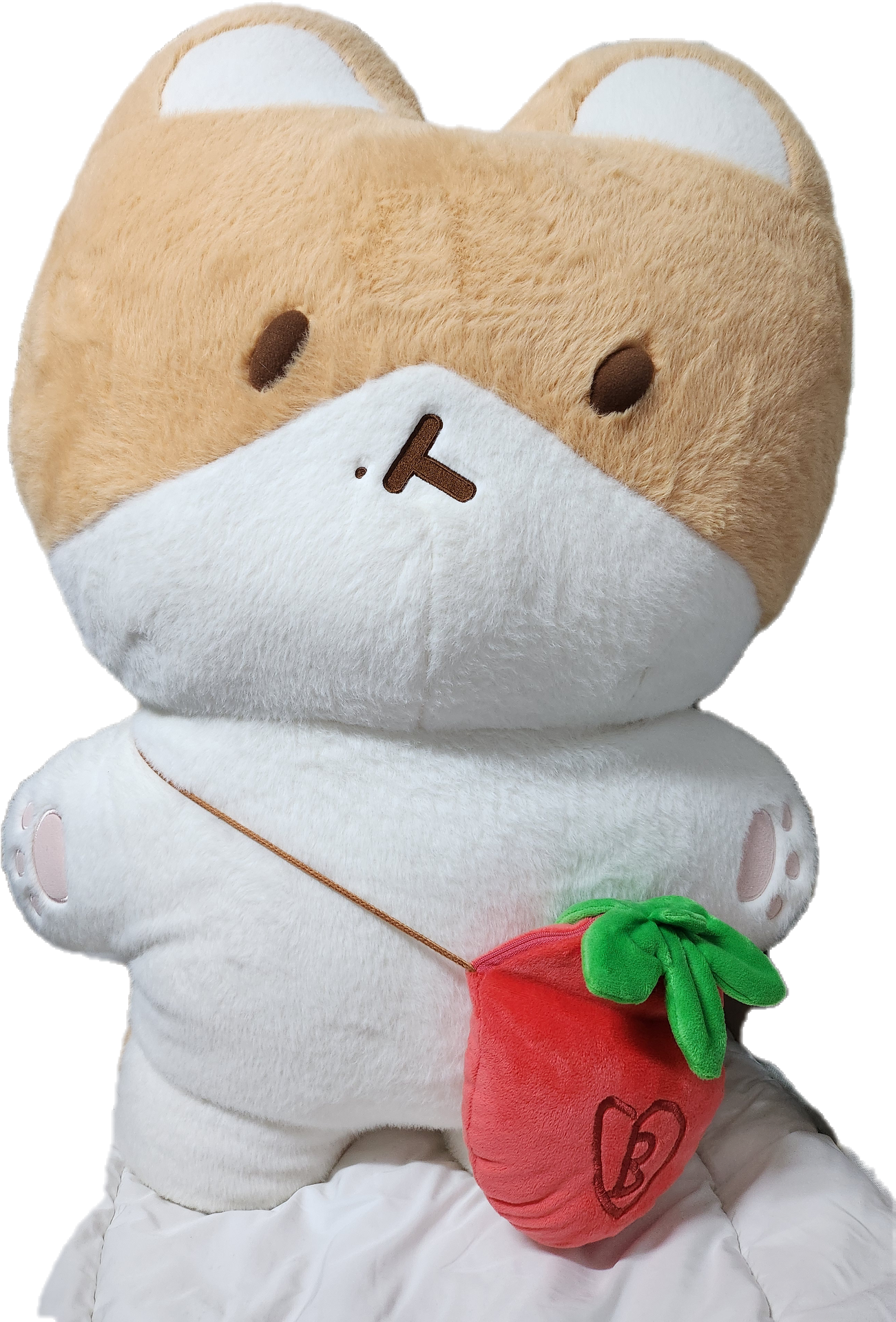 백현인형 대왕터래기