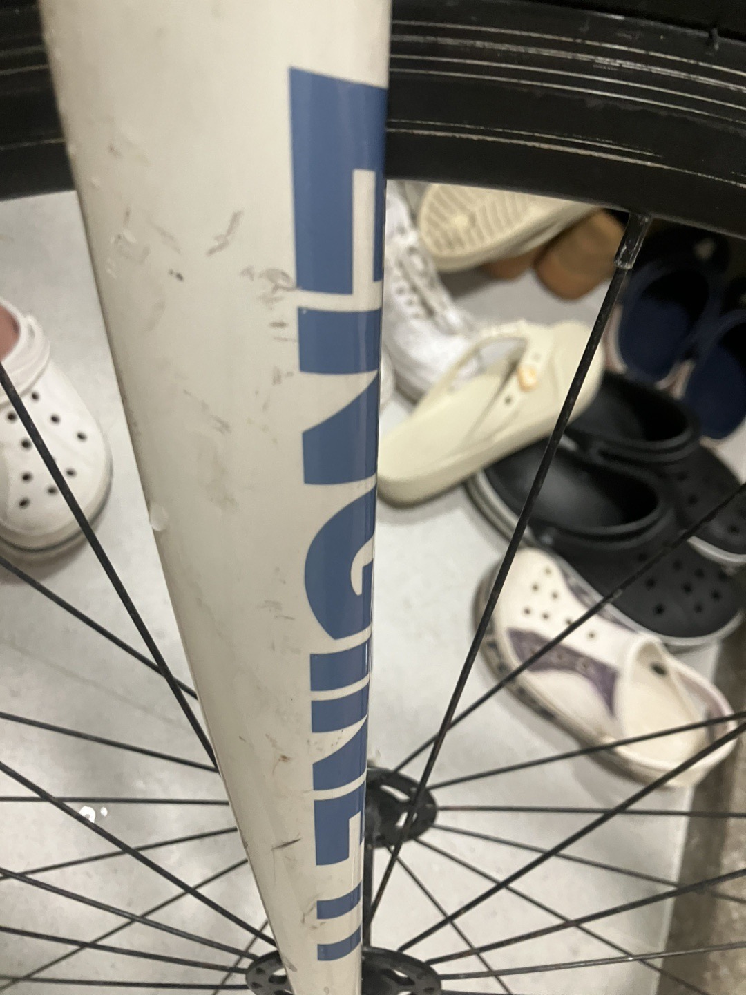 엔진11 볼텍스 픽시