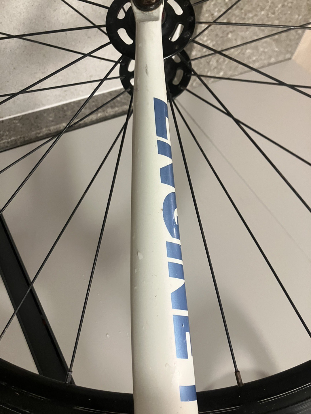 엔진11 볼텍스 픽시